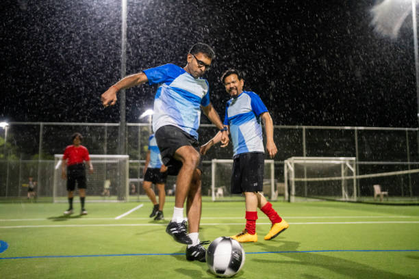 食物是他们 食物是他们